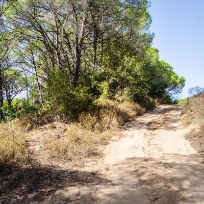 Tratto di percorso sulla sabbia